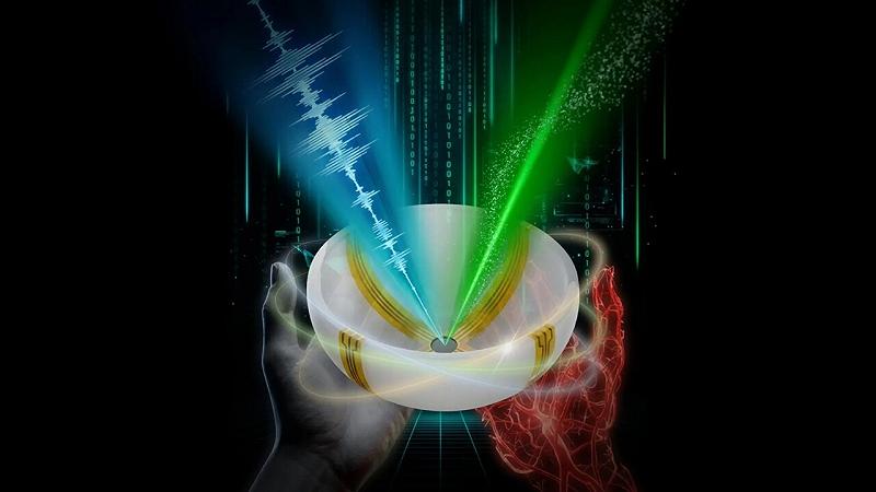 una nuova scansione consente agli scienziati di vedere l'interno del corpo umano in 3D a colori