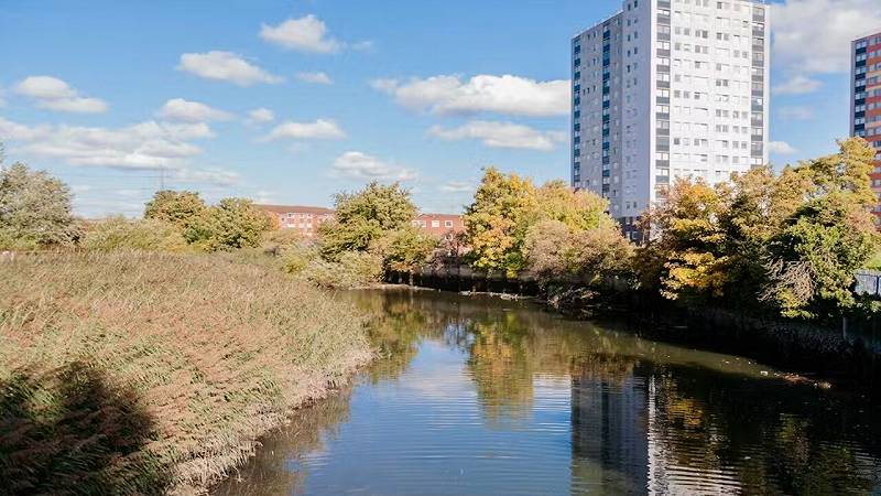 zone umide lungo i letti dei fiumi possono contribuire a migliorare la resilienza alle inondazioni
