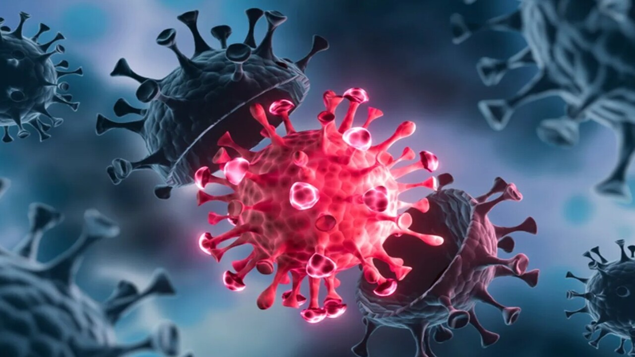 Virus pandemici, la nuova ricerca smentisce l’idea dell’adattamento preliminare