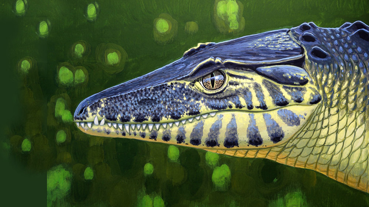 coccodrillo terrestre Doratodon carcharidens di 85 milioni di anni fa