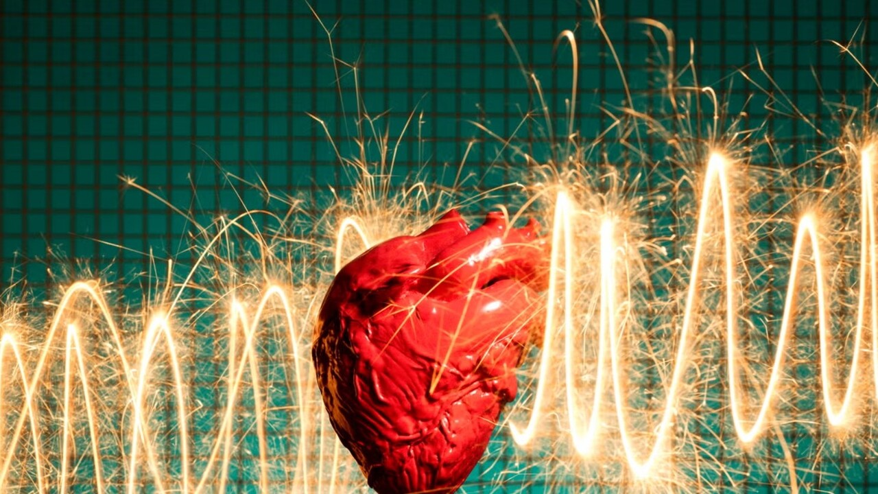 Il cuore può rigenerarsi dopo un infarto: individuato il freno ormonale che lo impedisce