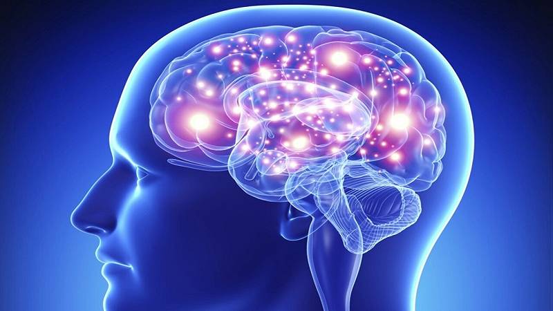 quando il nostro cervello deve fare molte cose contemporaneamente, raggiunge rapidamente i limiti delle sue capacità