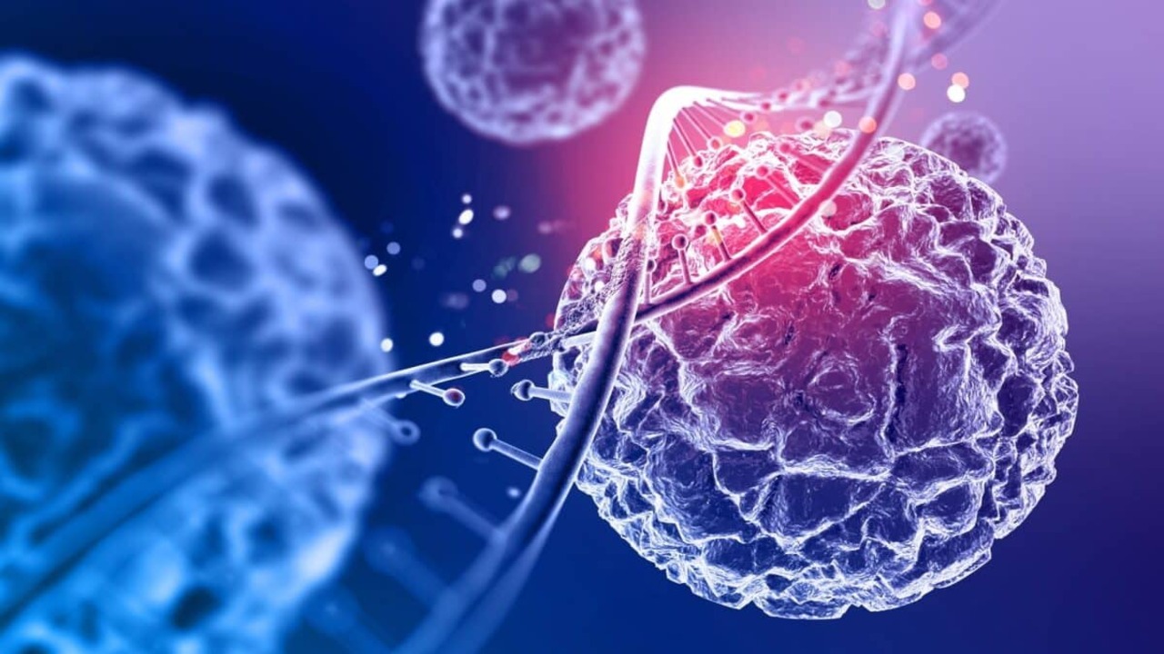 Un microbo mette in discussione un principio chiave della genetica